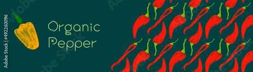 Vector hot pepper banner. Hand-drawn pattern. Peppers illustration. Pepper drawings. Red chilli background. Organic homemade vegetables. Vegan food wallpaper. Spices backdrop. Vegetarian restaurant.