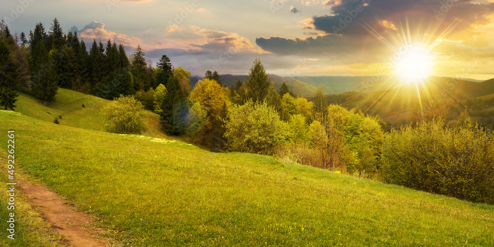 Obraz premium beautiful nature scenery in spring at sunset. countryside landscape in the carpathian mountains with fresh green meadows and coniferous forest in evening light. clouds on sky above the distant ridge