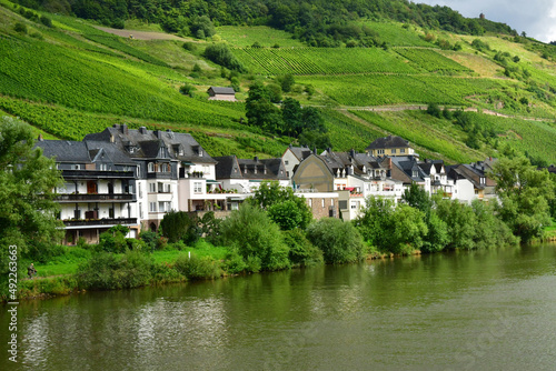 Moselle valley  Germany- august 11 2021 : valley of vineyard © PackShot