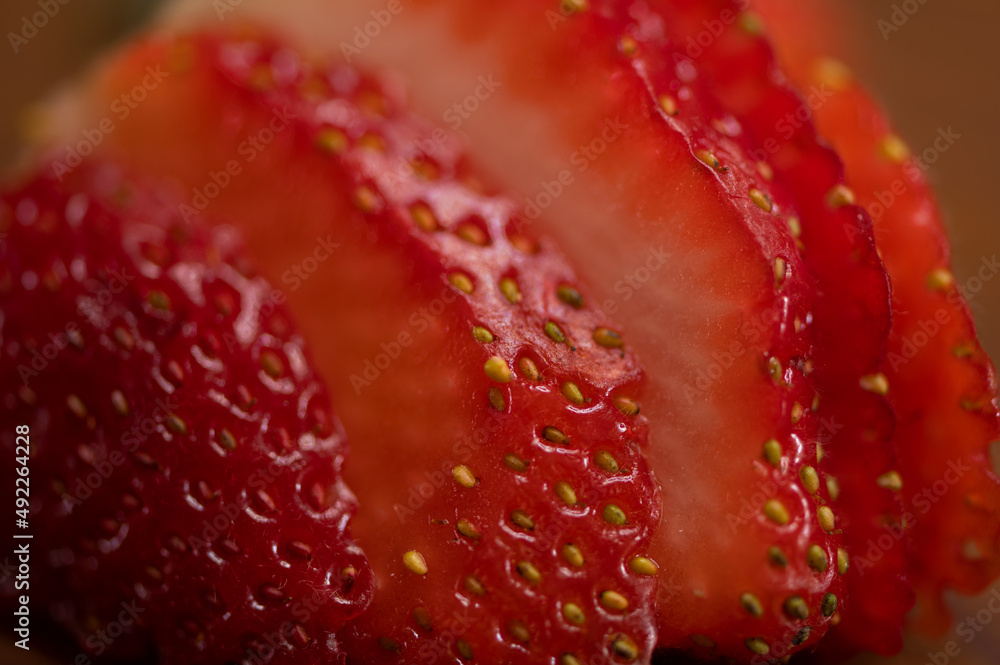 Easy Macros Breakfast Recipes 2023 AtOnce