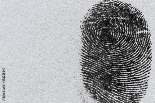 black macro fingerprint,Fingerprint detail,Real fingerprint in white background Super macro