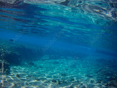 Under the water with fishes, The Red Sea, Egypt autumn