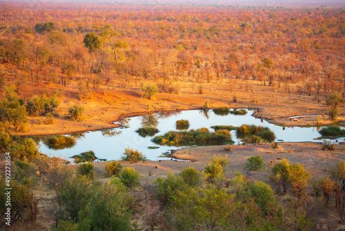 фотографія Victoria Falls Safari Lodge watering hole in the African savannah at sunset, Zim