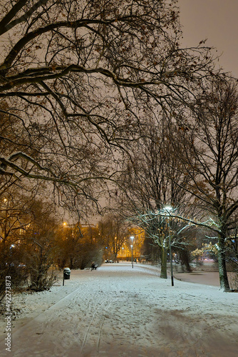 Beautiful park on a cold winter evening. © Dzmitry