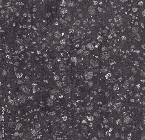Speckled Black and White Texture