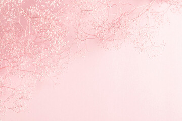 Dry pink flowers gypsophila on pink background. Flat lay, top view, copy space