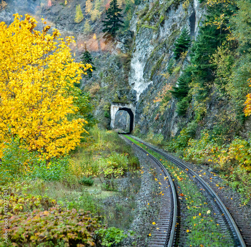 The Canadian national railway train, approaching a tunnel,  winding through autumn color forests in Alberta. photo