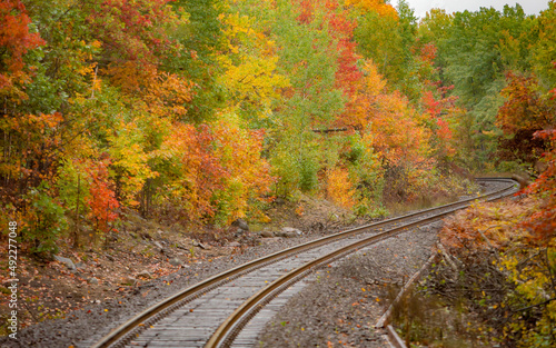 The Canadian national railway rails winding through autumn color forests in Alberta, soft focus to emphasize train movement