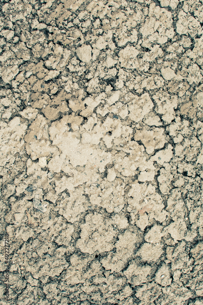 View of the cracked earth View of the cracked earth
