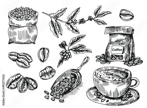 Coffee set with coffee branch, coffee beans, bad of coffee, scoop of coffee. Hand drawn vector illustration in sketch style. Ink drawn.