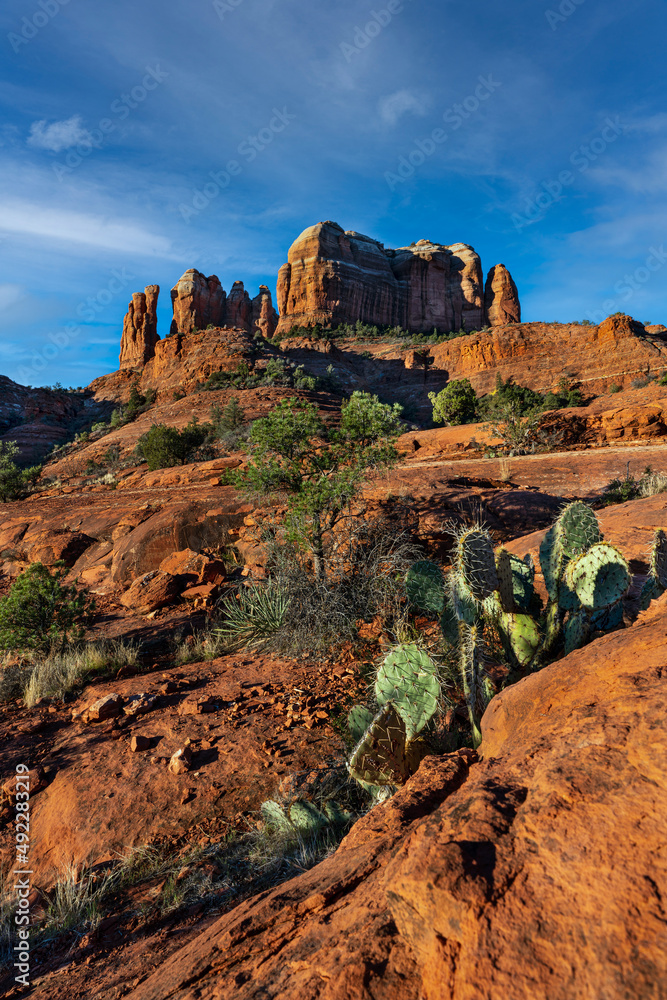 Cathedral Rock with cacti in the foreground.