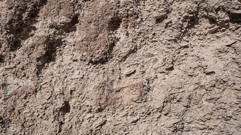Textured wall background from shells in the Crimea, many shells in the wall, ancient rock, texture. Textured wall background from shells in the Crimea, many shells in the wall, ancient rock, texture.