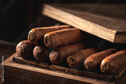 Photography Cuban and expensive cigar with guillotine cuts off cigar tip.