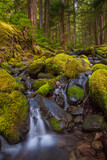 A small stream and waterfall in Olympic National Park, Washington