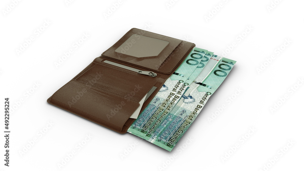 3D rendering of Gambian Dalasi notes in wallet 3D rendering of Gambian Dalasi notes in wallet