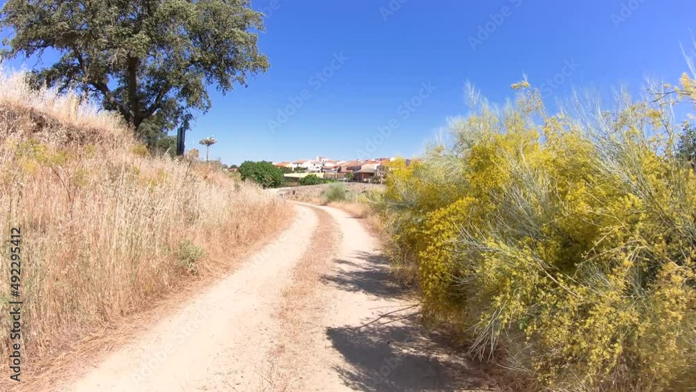 Via de la Plata, a dirt road approaching Casas de Don Antonio village, province of Cáceres, Extremadura, Spain - dolly forward Via de la Plata, a dirt road approaching Casas de Don Antonio village, province of Cáceres, Extremadura, Spain - dolly forward