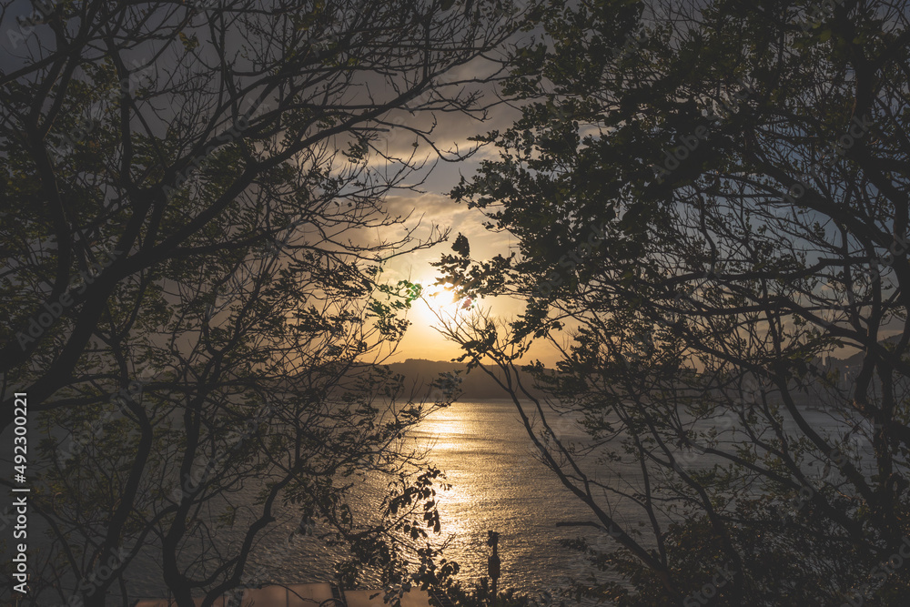 The sunset above the sea shines brightly and brilliantly through the leaves of the forest The sunset above the sea shines brightly and brilliantly through the leaves of the forest
