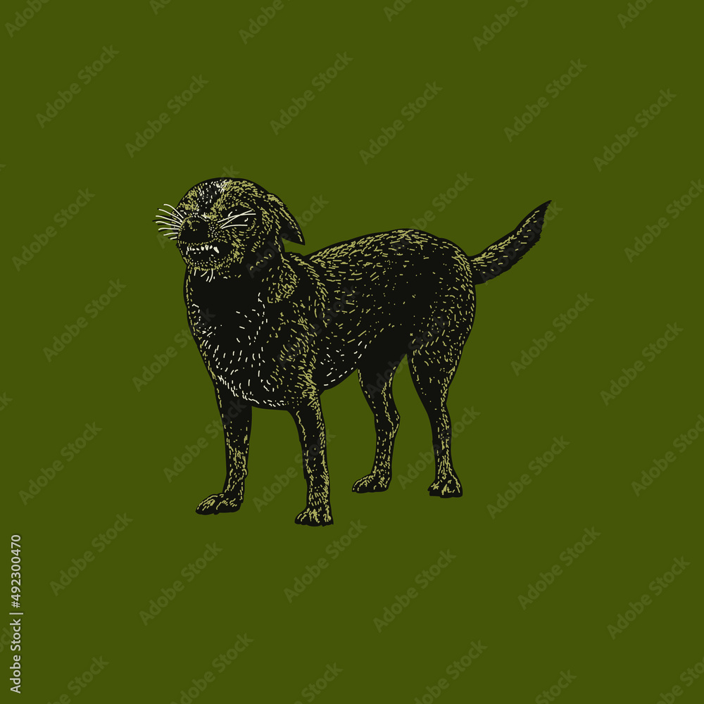 colored taco terrier dog hand drawing. object isolated on background. easy editable.