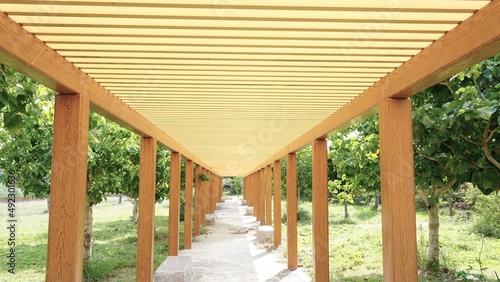 wooden corridor in the park