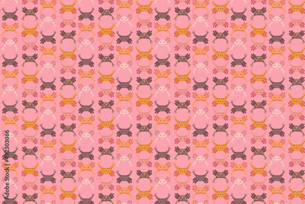 pattern of axolotls of different breeds and colors pattern of axolotls of different breeds and colors