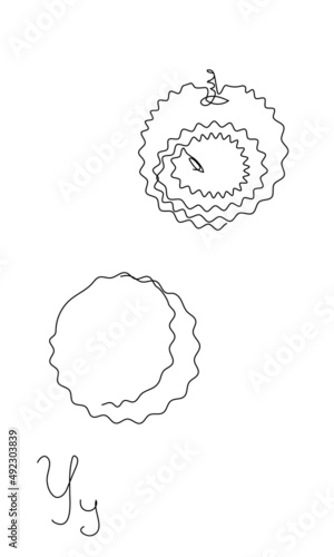One line yangmei vector illustration. Fruit and berry set. Minimalistic juicy asian bayberry. continuous line hand drawn isolated object look like a litchi	 photo