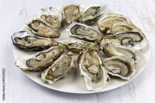 top view of a covered oyster platter isolated on a white background