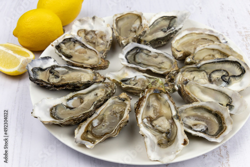 oyster platter covered with lemon on a white background