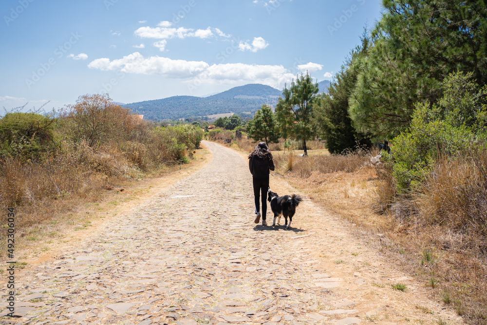 La niña está caminando con su perro por un camino en el bosque de Tapalpa Jalisco México. La niña está caminando con su perro por un camino en el bosque de Tapalpa Jalisco México.