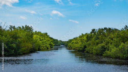 Seminole Collier County Nature Preserve South Florida
