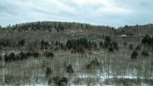 A steep hill with snow and bare trees during winter