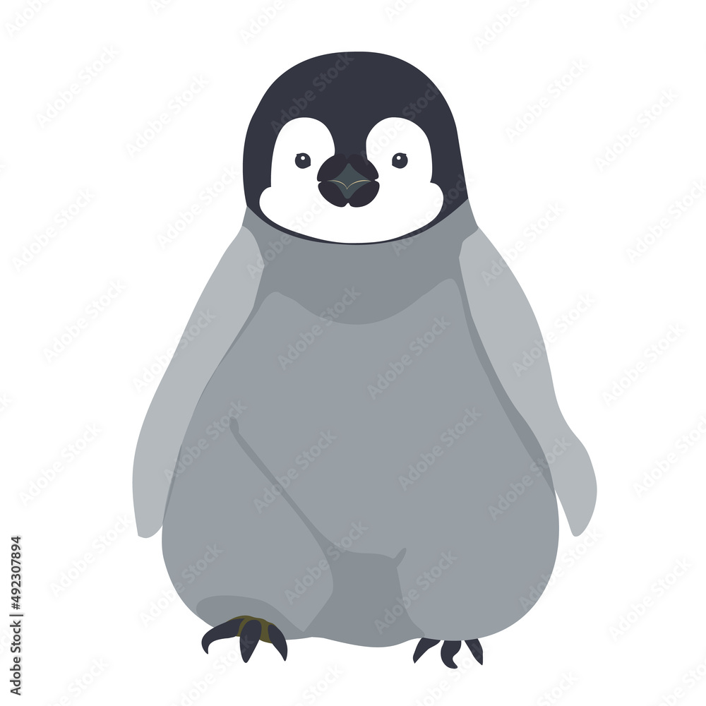 エンペラーペンギン コウテイペンギン かわいい雛 赤ちゃん エンペラーペンギン コウテイペンギン かわいい雛 赤ちゃん