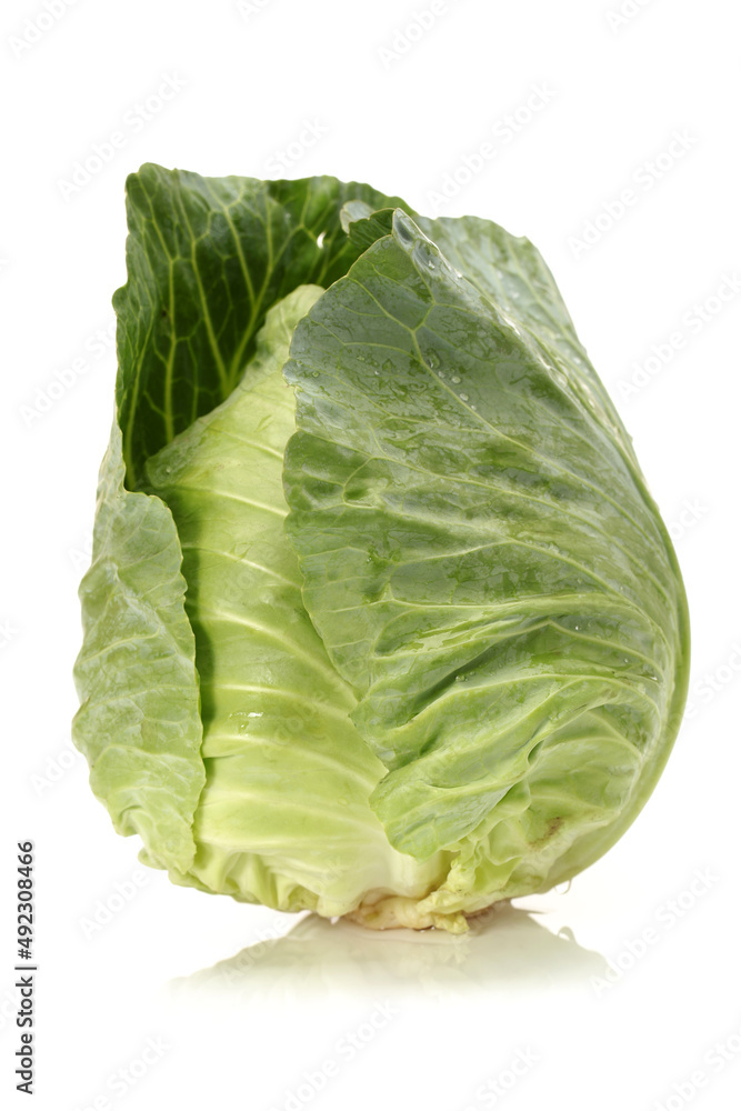Fototapeta premium cabbage isolated on white background