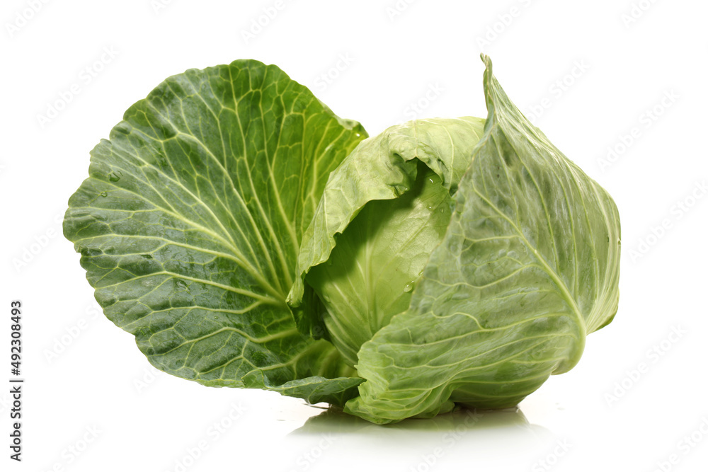 cabbage isolated on white background cabbage isolated on white background