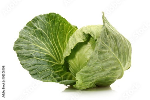 Print op canvas cabbage isolated on white background