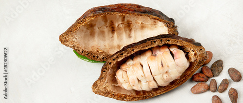 Cocoa pod with fresh cocoa beans.