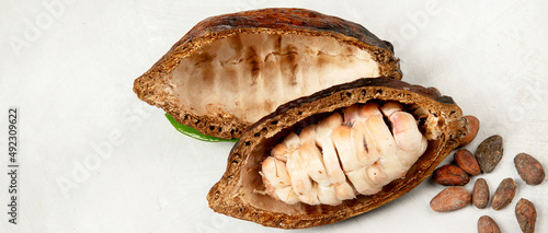 Wallpaper Mural Cocoa pod with fresh cocoa beans. Torontodigital.ca