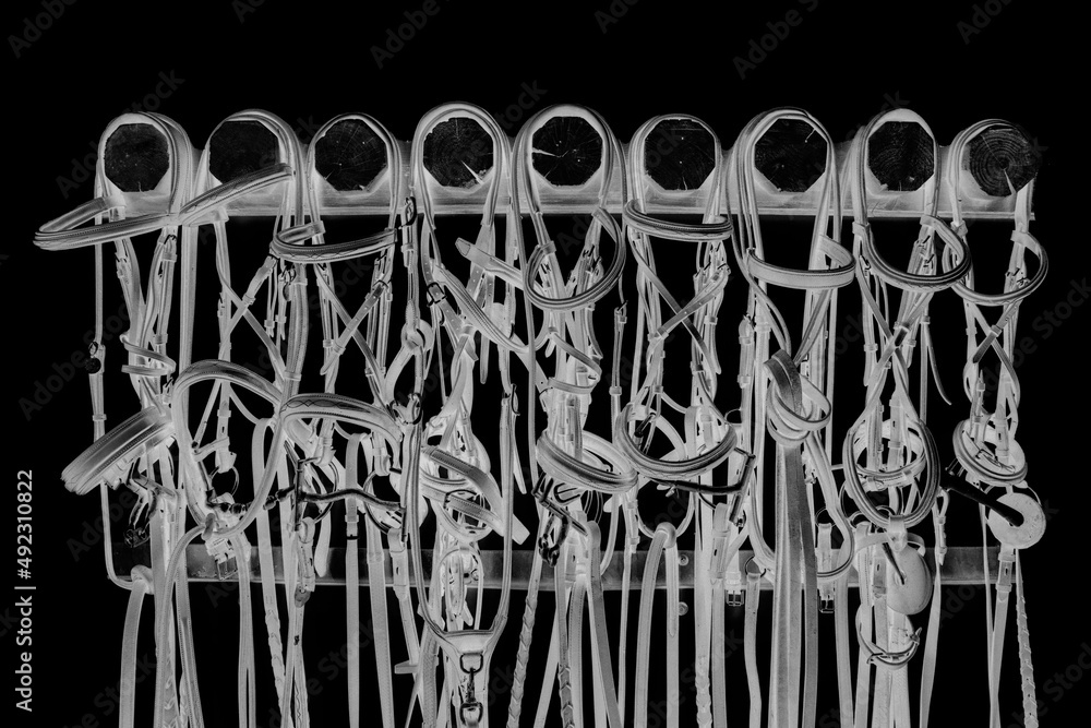 Negative image of hanging horse tack bridles against black background. Negative image of hanging horse tack bridles against black background.