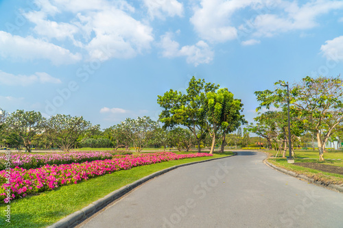 Beautiful green city park with blue sky. Pathway and beautiful trees track for running or walking and cycling relax in the park on green grass field on the side. Sunlight and flare background concept.