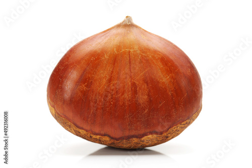 Tableau sur toile Sweet chestnut on white background