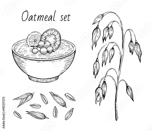 Oats sketch. Oatmeal porridge bowl with milk, fruit, oat ear, grain. Engraved icon art. Line muesli, flake for healthy sweet breakfast food design. Vector illustration set isolated on white background