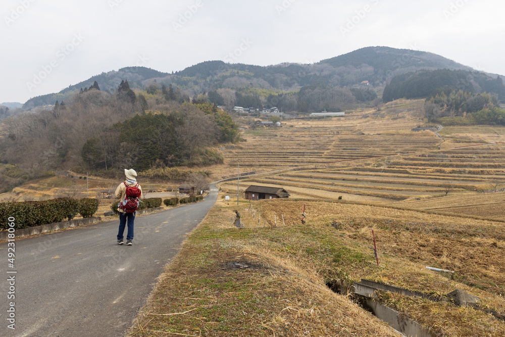 日本の岡山県美咲町の大垪和西の美しい棚田