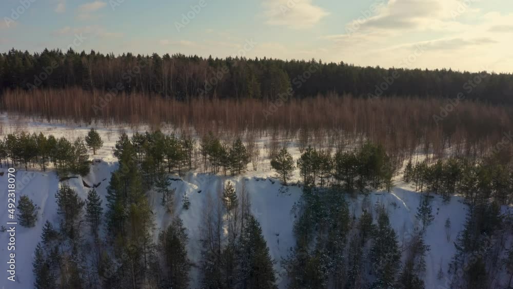 Winter and green forest on a bright sunny day. Aerial view Winter and green forest on a bright sunny day. Aerial view