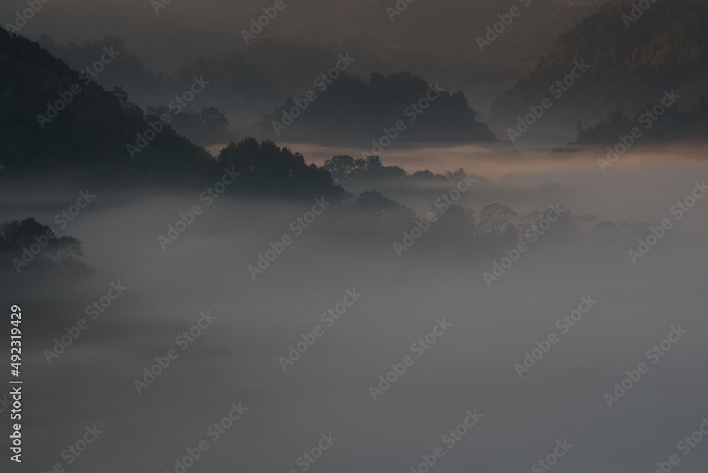 Overwhelmed fog over a valley in sunrise time