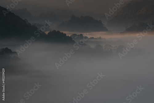 Overwhelmed fog over a valley in sunrise time