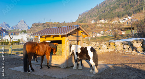 Authentic and genuine, the villages of the Stoos-Muotatal region offer a variety of ways to take a break from everyday life and enjoy your holiday. Whether on the Stoos or in Muotathal, Sun terrace photo