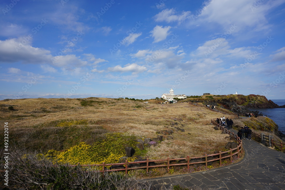 Naklejka premium fascinating seascape with seaside walkway