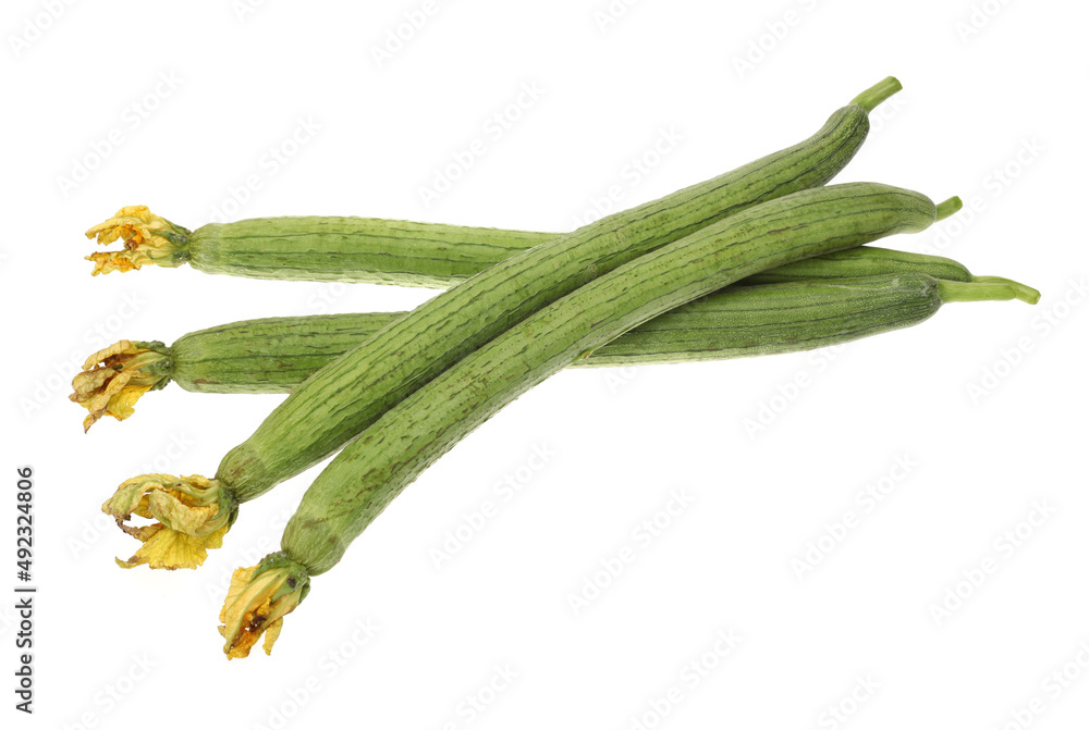Obraz premium fresh loofah on the white background