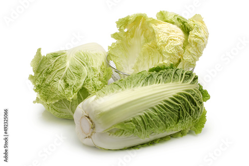 Chinese cabbage on white background 