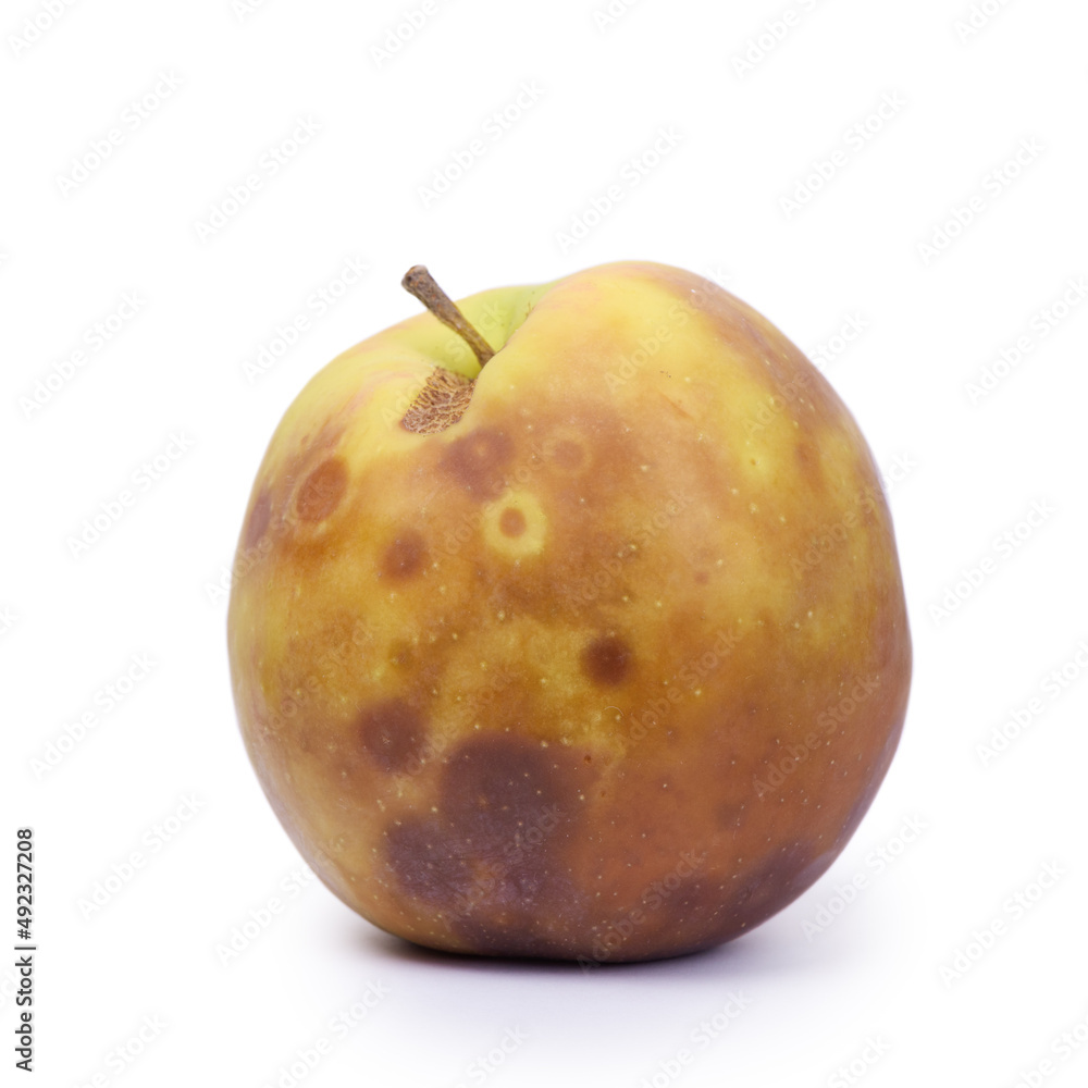 Yellow rotten apple isolated