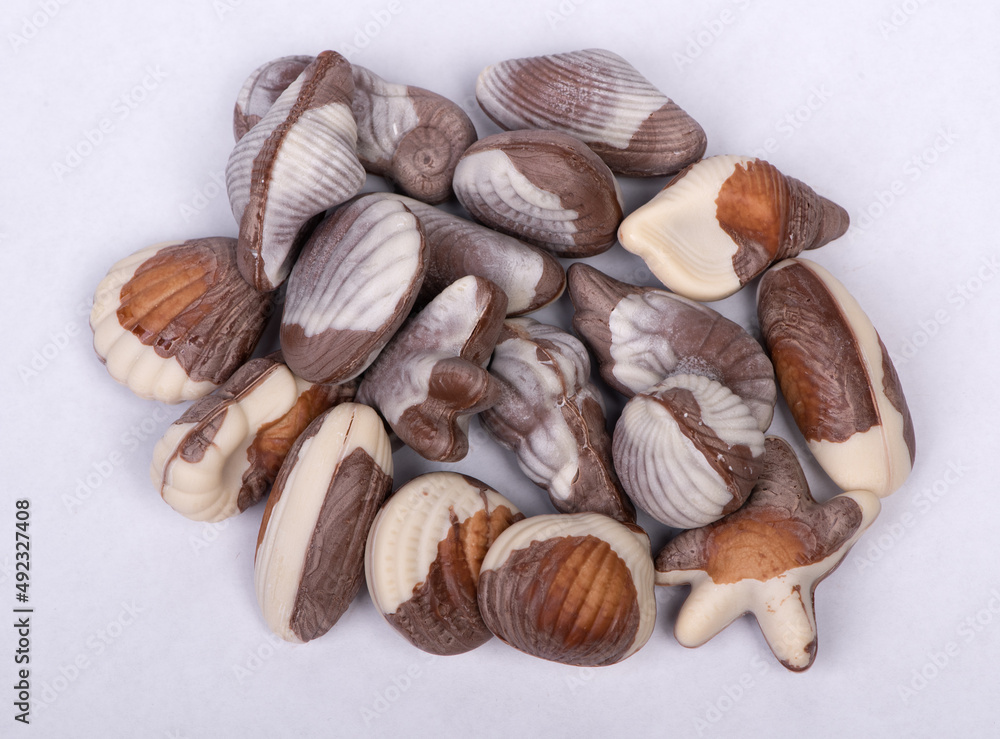 Group of seashell chocolate bar Group of seashell chocolate bar